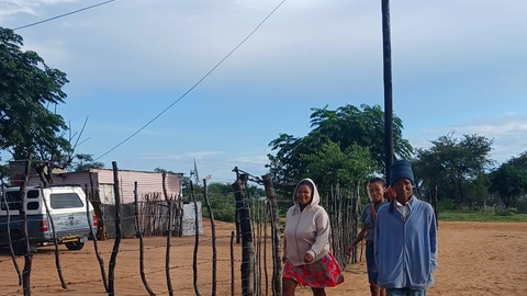 Drimiopsis community